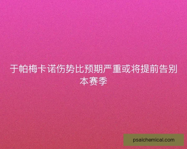 于帕梅卡诺伤势比预期严重或将提前告别本赛季