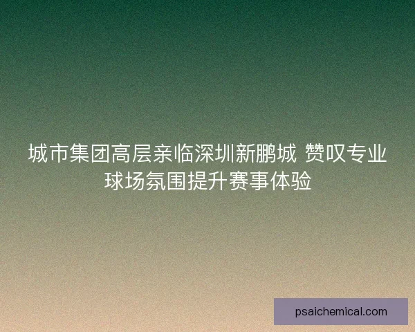 城市集团高层亲临深圳新鹏城 赞叹专业球场氛围提升赛事体验