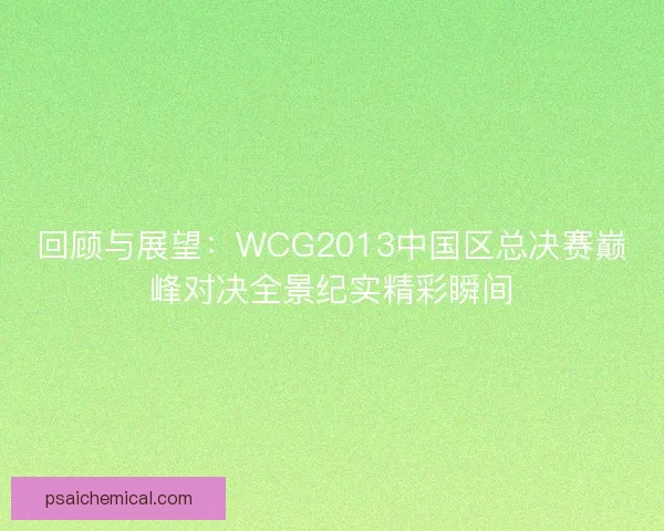 回顾与展望:WCG2013中国区总决赛巅峰对决全景纪实精彩瞬间 回顾与展望:WCG2013中国区总决赛巅峰对决全景纪实精彩瞬间