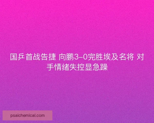 国乒首战告捷 向鹏3-0完胜埃及名将 对手情绪失控显急躁