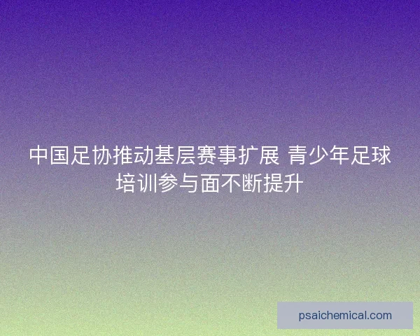 中国足协推动基层赛事扩展 青少年足球培训参与面不断提升 中国足协推动基层赛事扩展 青少年足球培训参与面不断提升